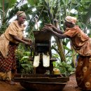 여기커피(HERE COFFEE) 이미지