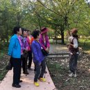 나주시 치매안심센터 이미지