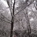 광산구-151 이미지