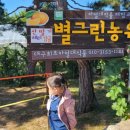 쑤니네 농장 네이버블로그