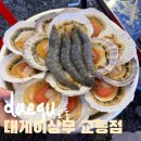 73 | [대구|교동]대게이상무 교동점|야장맛집 바닷가...노포 분위기 내돈내산후기 조개구이 해산물 홍게 맛집