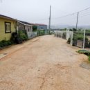 셈바이오(주) 이미지