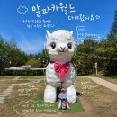 푸드코월드 | 알파카월드 아이랑 방문 꿀팁｜예약부터 체험까지 리얼후기