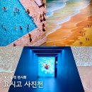 뉴욕모텔 | 서울역 근처 전시회 요시고 사진전2 내돈내산 추천 솔직후기