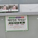 다시봄요양병원 | 대구에서 가장 저렴한 가다실9 자궁경부암백신 1차접종 아리채요양병원 방문 후기(1회 16만원)