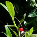 티지나SM 이미지