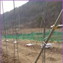 정근농장 이미지