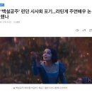 이번 “백설공주”가 역대 최악의 PC질인 듯 이미지