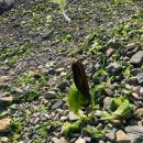 발산2리 간이화장실 | 포항 짬낚시 포인트(발산2리 방파제)