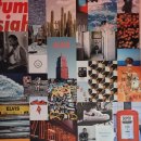 서현2층약국 이미지