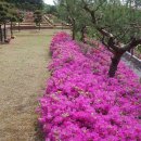 로뎀목장 이미지