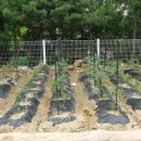 숲속향기생태어린이집 이미지