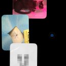 이매 동물병원 | 육묘일기 | 우리 꼬마들의 중성화 수술