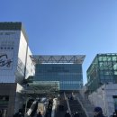 무계획 뚜벅이 강릉 여행 개중에 안목해변 🌊