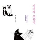 고양이 이미지