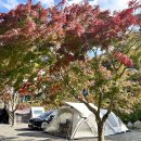 이안 힐링랜드 이미지