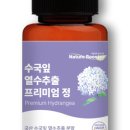 네이처부스터