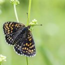 일신태권도 이미지