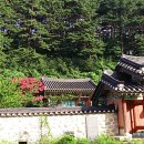청간사 | 강릉...보광리 부도