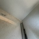 조치원_욱일아파트 | 조치원 욱일아파트 입주청소, 리모델링 후 꼼꼼하게 진행했어요
