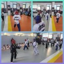 신화태권도장 이미지