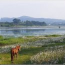 구좌 해안도로 이미지