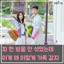 권정희 | 조립식 가족 줄거리 결말 — 피 한 방울 안 섞였는데 이게 왜 이렇게 가족 같지