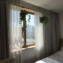 헤이,춘천(Heyy,chuncheon) 이미지