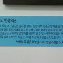 그때그시절인생역전 이미지