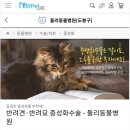 둘리동물병원 이미지