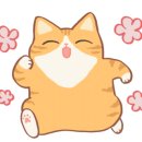 오늘도 예쁜 그루밍 이미지