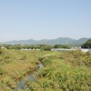 안산천2 이미지