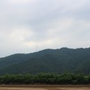 진교배수장 티스토리