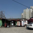 사계절국수 | 포항 연일 점심맛집 사계절식당 고기국수 후기