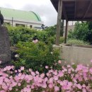 서정적 풍경 이미지