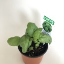 운정농약사 운정농원 이미지