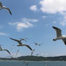 가곡쉼터 이미지