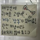 츄네일(Chuu Nail) | [꾸꾸데이]부평구 네일 아트 [수수네일]데일리 & 웨딩 네일 추천 🎀