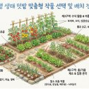 [제2화: 우수] 얼어붙은 대지를 녹이는 생명의 전령 이미지