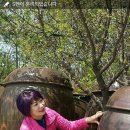 엄니도시락 이미지