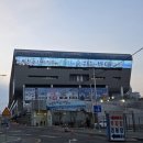 또순이 | [노량진] 노량진수산시장 11월 대방어 내돈내산 후기(형제상회, 또순이회양념)