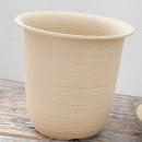 다올2호 이미지