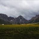 나산화원