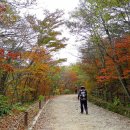 산격 이미지
