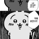 토리애드 이미지