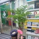 운정샤인약국 이미지