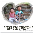 현대약품주식회사 이미지