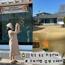 이레 | 청주 하루이레 숙소 후기｜감성 한옥 스테이, 가성비 숙소 추천 (위치·가격·분위기 총정리)