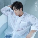 [백호x더우드] 더우드 샴푸&amp;트리트먼트 DAY/NIGHT 리미티드 에디션 SET (내돈내산 후기)