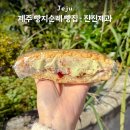 소보로 | 제주 빵지순례 빵집 맛집 진진제과 맘모스, 소보로 후기 내돈내산